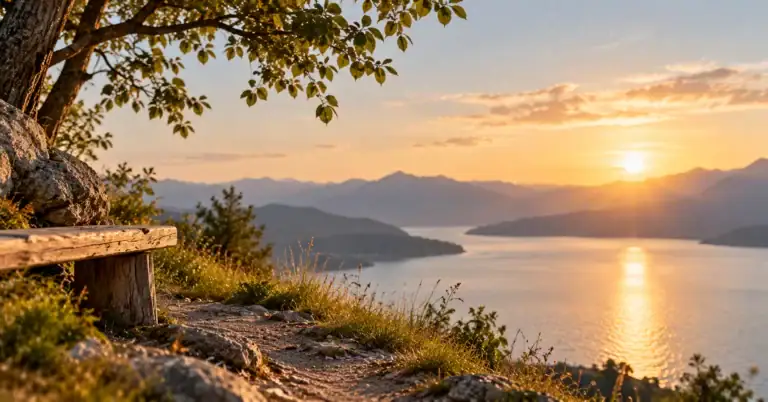 Bank unter einem Baum mit Blick über einen See und Berge im Abendlicht